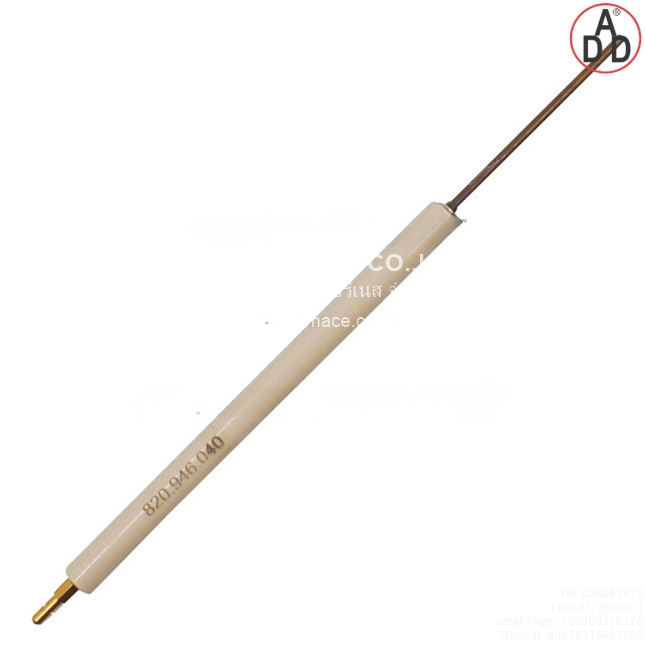 Riello Electrode 3006709(1)